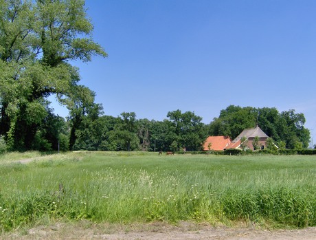 landschap