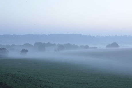 landschap